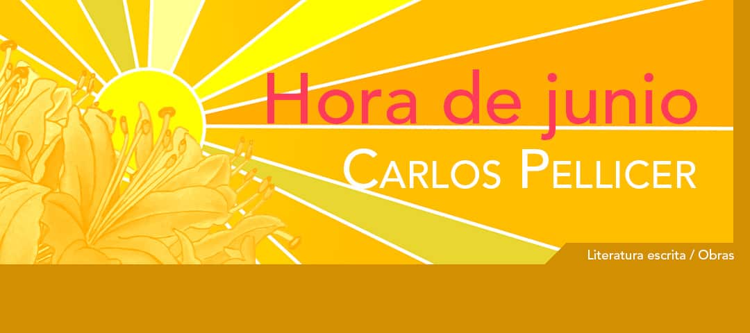 Portada Enciclopedia De La Literatura En M xico FLM CONACULTA